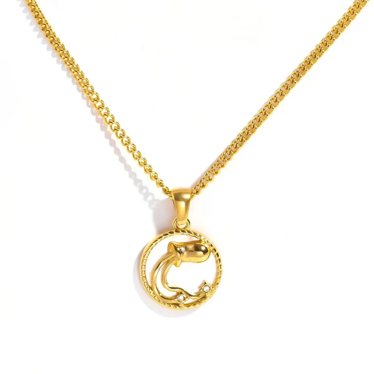 Aquarius Gold-Tone Titanium Steel Coin Necklace